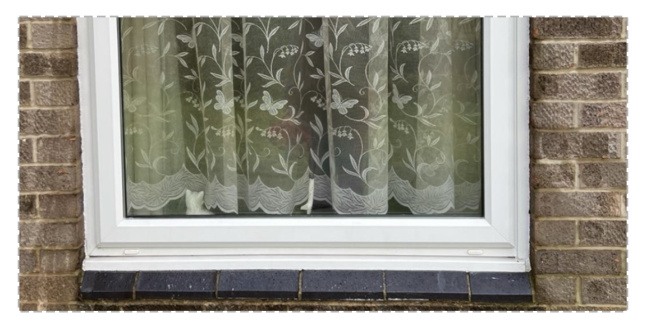 Residential Window Cleaning Southampton